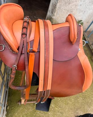 Sella spagnola più accessori