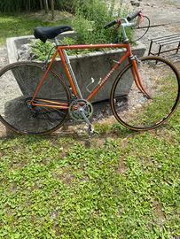Bicicletta Adorni