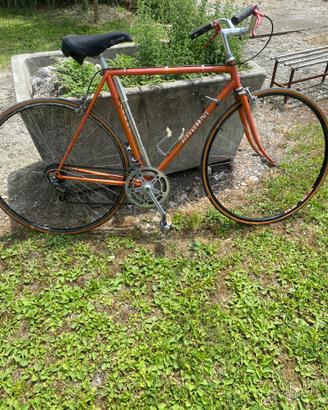 Bicicletta Adorni
