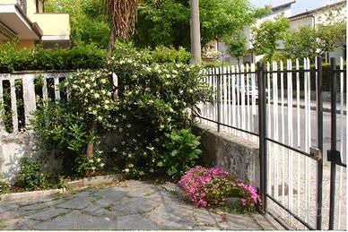 Lido di Camaiore. Giugno