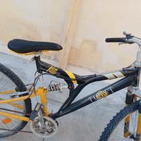 mountain bike