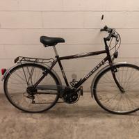 Bicicletta uomo con cambio