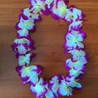 Collana hawaiana