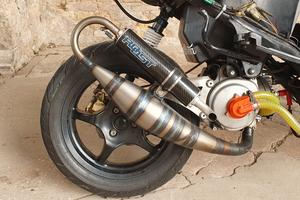 Roost r77 