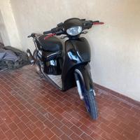 Scarabeo 50