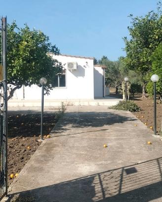 Proprietà indipendente