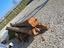 Immagine 2