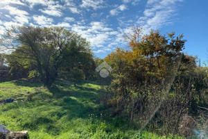 TER. AGRICOLO A SANTERAMO IN COLLE