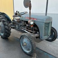 Trattore Massey Ferguson TE F20 - 30 cv