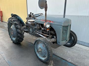 Trattore Massey Ferguson TE F20 - 30 cv