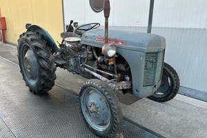 Trattore Massey Ferguson TE F20 - 30 cv