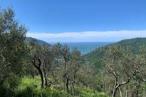 Rustico / Casale di 2225 m² con 2 locali a Avegno