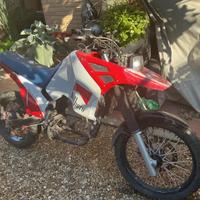 Suzuki dr big 750