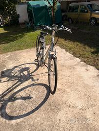 Bicicletta elettrica Trek