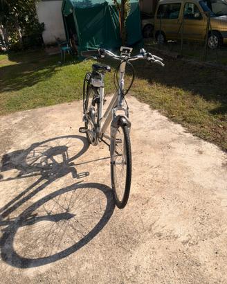 Bicicletta elettrica Trek