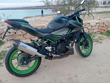 Kawasaki z 500 se 2024