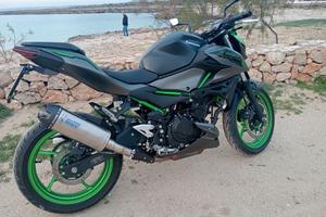 Kawasaki z 500 se 2024