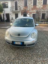 New beetle