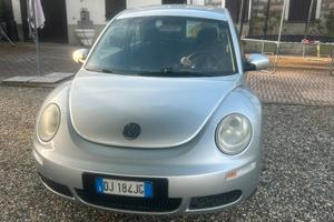 New beetle