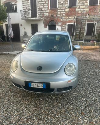New beetle