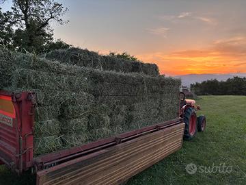 Fieno di collina
