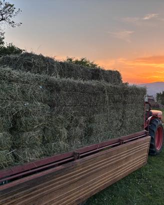 Fieno di collina