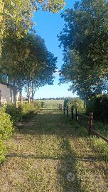 Casa vacanza - campagna/montagna Toscana