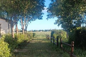 Casa vacanza - campagna/montagna Toscana