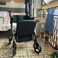 Deambulatore per esterno