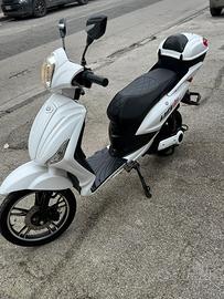 Motorino elettrico