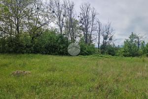 TER. RESIDENZIALE A PIZZOLI