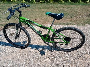 Bicicletta da bambino/ragazzo Record verde-nero