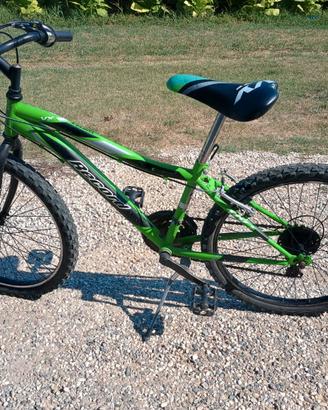 Bicicletta da bambino/ragazzo Record verde-nero
