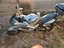 Immagine 3