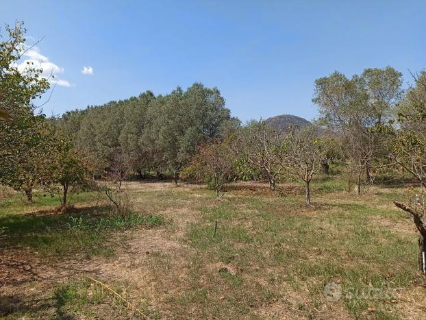 Terreno agricolo San Vito località Bau Linus