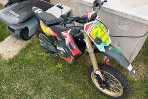Moto eletrica