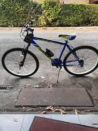 bicicletta