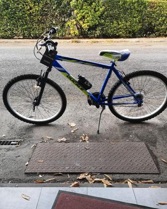bicicletta