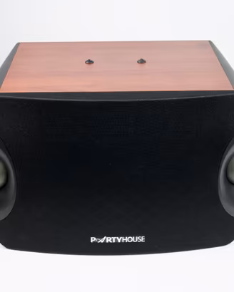 Cassa 300watt 3 vie 60x32x32 Party House woofer 30