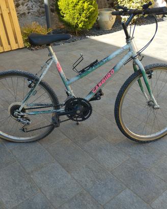 bici usata