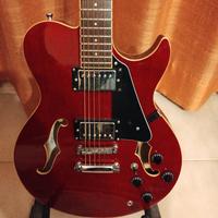 chitarra semiacustica Greg Bennet  royal