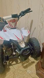 quad elettrico