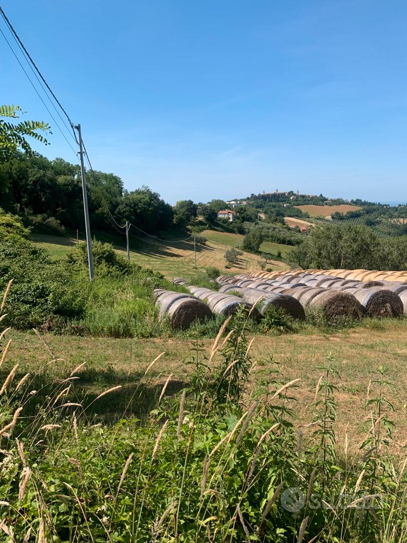Terreno agricolo - Vista 5