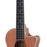ukelele bass 