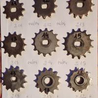 Pignoni Minarelli p6 p4 