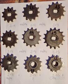 Pignoni Minarelli p6 p4 