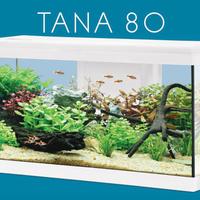 Zolux Acquario Tana 80 Bianco Completo