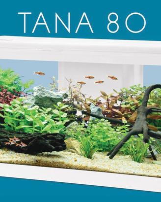Zolux Acquario Tana 80 Bianco Completo