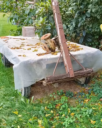 Rimorchio agricolo 