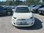 Immagine 7